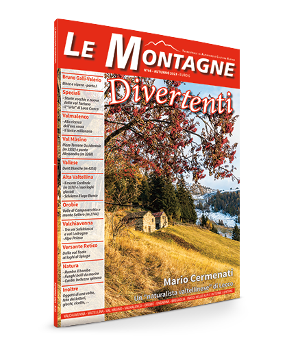 n.66 - Autunno 2023